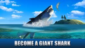 凶残鲨鱼模拟3D v1.0 下载 截图
