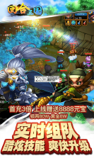 回合三国 v1.0 无限元宝版下载 截图