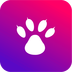 猫熊app下载v1.0.1