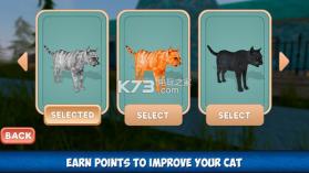 家庭小猫城生存模拟 v1.0 游戏下载 截图