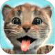 小猫大冒险游戏下载v1.2