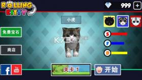 翻滚小猫 v1.0 游戏下载 截图