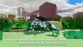 家猪模拟器的生活 v1.0 游戏下载 截图