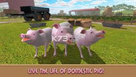 家猪模拟器的生活 v1.0 破解版下载 截图