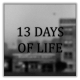 生命中的13天游戏下载v1.3