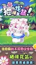 猫咪花盆 v1.42 安卓正版下载 截图