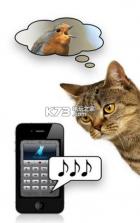 猫语翻译器 v971599 app下载 截图