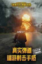 绝地求生刺激战场 v1.29.13 移动端下载(更名:和平精英) 截图