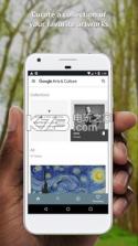 Google Art & Culture v9.0.30 app下载 截图