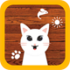 Cat Toys逗猫神器app下载v1.8