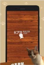 Cat Toys逗猫神器 v1.8 app下载 截图