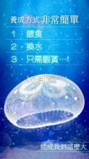 水母养成 v4.4 中文版下载 截图
