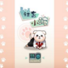 社畜小波 v1.0.2 下载
