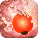 逃脱游戏樱花祭中文版下载v1.0.0
