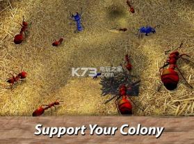 Ant Empires Simulator v1.0.0 游戏 截图