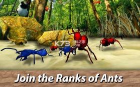 Ant Empires Simulator v1.0.0 游戏 截图