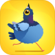 pigeon pop手游下载v1.2.5