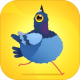 pigeon pop安卓版下载v1.2.5