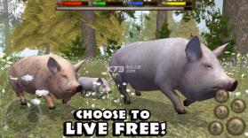 终极农场模拟器 v1.1 下载 截图