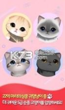 Million Kitties v1.0.0 游戏下载 截图