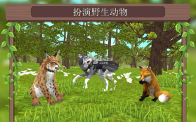 WildCraft v20.4 破解版下载 截图