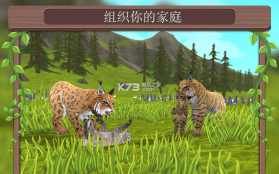 WildCraft v20.4 破解版下载 截图