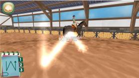 照顾马儿们 v1.2.8 游戏下载 截图