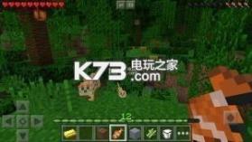 我的世界 1.6.0.8国际版 截图