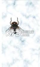 苍蝇逗猫 v1.0 中文版下载 截图
