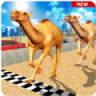 骆驼模拟器 v1.2 游戏下载