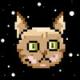 太空猫！银河鼠下载v1.0