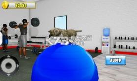 可爱猫咪模拟器2018 v1.0 下载 截图