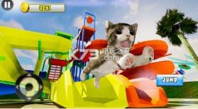 可爱猫咪模拟器2018 v1.0 下载 截图
