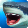 饥饿鲨鱼模拟器 v1.2 汉化版下载
