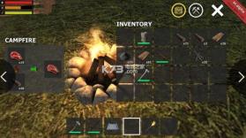 生存模拟器 v0.1.9 alpha 下载 截图