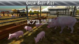 农场猪猪模拟 v1.01 游戏下载 截图