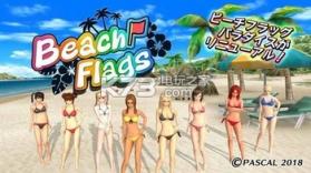 BeachFlags v1.3.8 游戏下载 截图