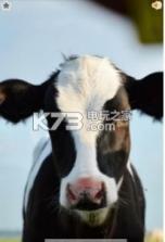 动物叫声模仿器 v1.5.9 app下载 截图