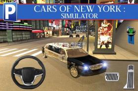 纽约汽车模拟器 v1.0 下载 截图