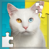 真实猫的拼图游戏 v1.1 下载