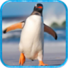 企鹅模拟器 v1.0 安卓版下载