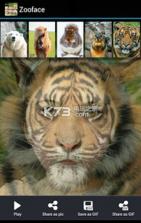 Zooface v1.3.6 app下载 截图