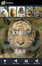 zooface v1.3.6 软件下载 截图