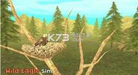 最史诗鹰模拟器 v2.0 安卓版下载 截图