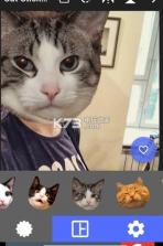 快手猫头贴纸 v1.0 软件下载 截图