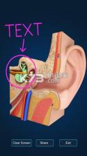 耳朵探索 v1.4 下载 截图