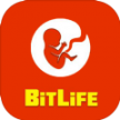 生命模拟器BitLife v3.6.1 中文版下载