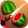 Knife Fruit Master v1.1 游戏下载