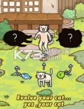 抖音猫的进化 v1.0 汉化版下载 截图