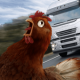 Chicken Challenge游戏下载v0.9.5